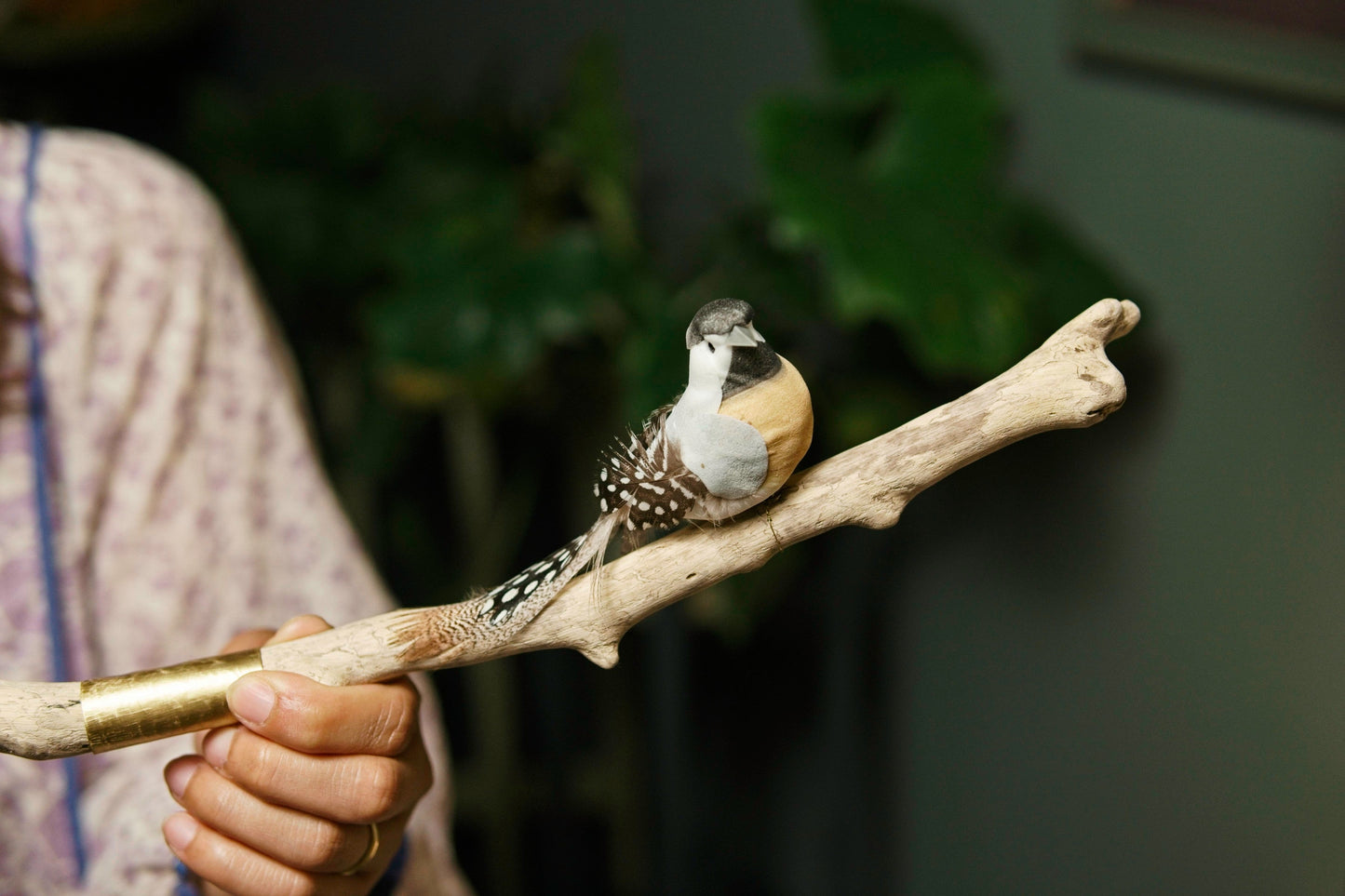 Bird Bar / brass and drift wood