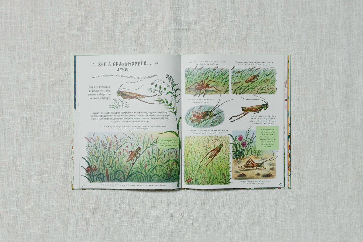 Slow down and be here now