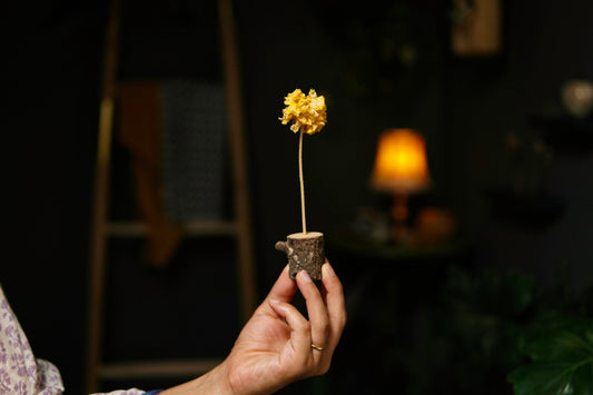 Five pieces of single-flower vase with dried flower