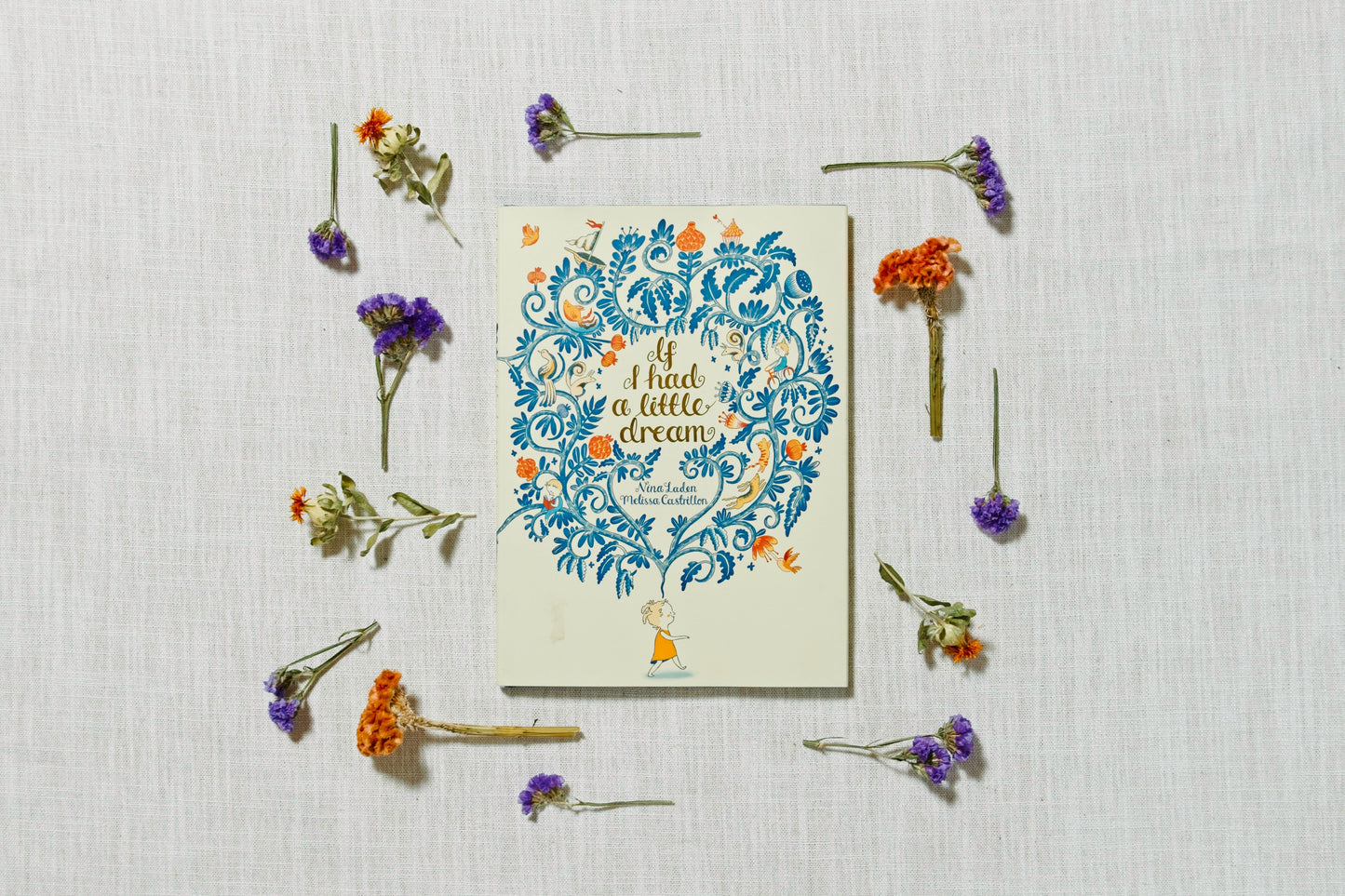 If I had a little dream