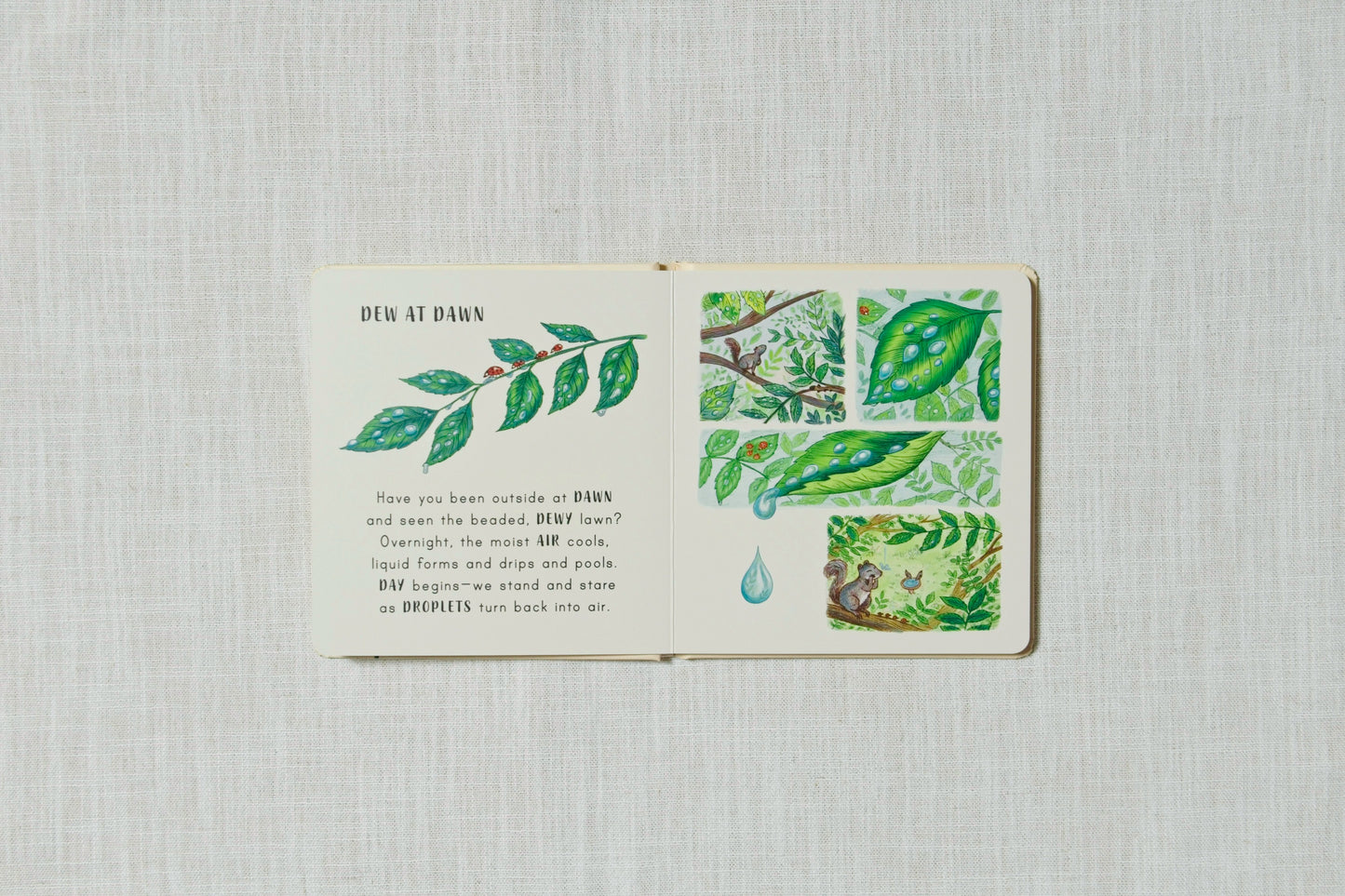 Slow down on your doorstep